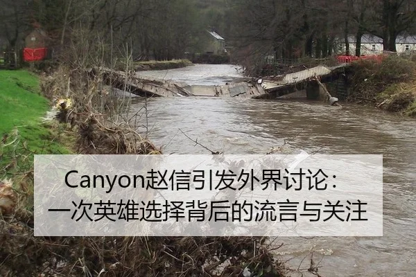 Canyon赵信引发外界讨论：一次英雄选择背后的流言与关注